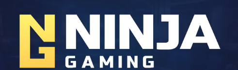 Ninja Gaming